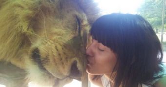 Picture shows adult lion rubbing noses with a woman