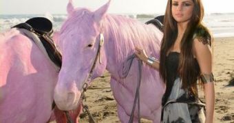 Selena Gomez and the pink horses that got Pink so furious on Twitter