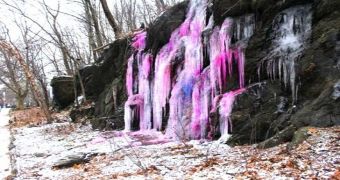 Pink-Colored Ice Waterfall Amazes Passersby in Manhattan Park