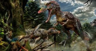 Researchers announce the discovery of a previously unknown dinosaur species