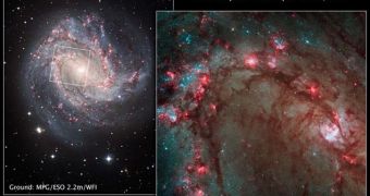 The Southern Pinwheel galaxy reveals its intricate structure in this new Hubble image