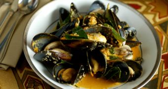 "Plastic soup" hinders the growth of mussels
