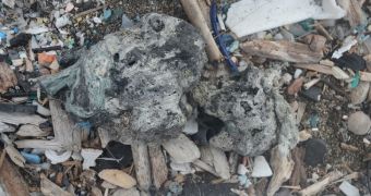Researchers find melted plastic can mix with sediment, organic debris to form a new rock material