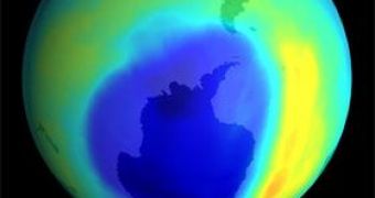 Polar Winds Lead to the Ozone Decrease
