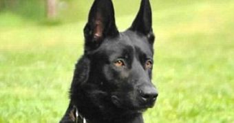 Police Dog Saves Human Partner from Certain Death