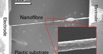 Piezoelectric nanogenerators can now be made from organic materials