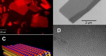 New nanosheet can lead to significant advancements in the electronics industry