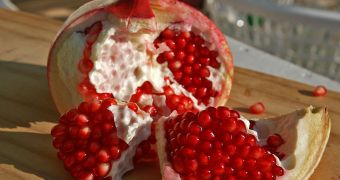 Pomegranate Juice Stops Cancer from Spreading