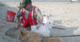 Dog helps conservationists save turtles in Texas