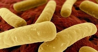 Pill derived from human feces could one day be used to treat gut infection with C. difficile