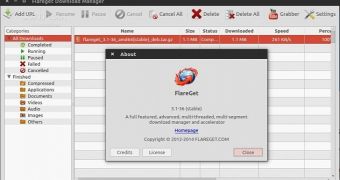 flareGet in Ubuntu 14.04 LTS