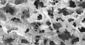 Microscope image of the magnetic foam alloy