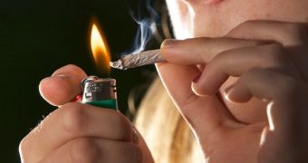 Researchers warn pot smokers risk turning into slackers