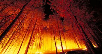 Prescribed burns release less carbon dioxide than wildfires, scientists have learned