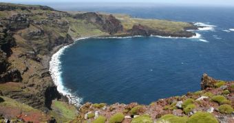 Prince Edward Islands Now Listed as Marine Protected Area