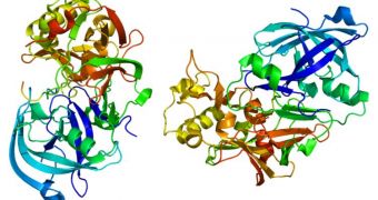 This is the BACE1 protein