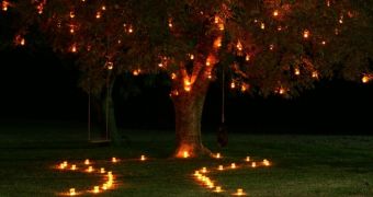 Boyfriend adorns a tree with led candles, before proposing