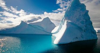 Several countries ask that proposed marine reserve in the Antarctica be downsized