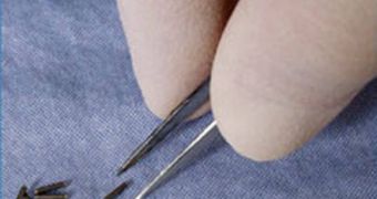 Brachytherapy used for prostate cancer involves inserting these radioactive "seeds" near the affected area