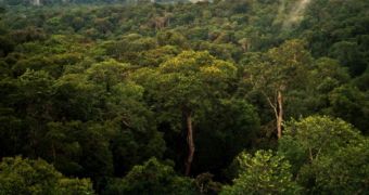Rainforests are some of the most biologically diverse habitats in the world