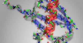Protein Structures Revealed at Picosecond Timescales