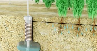 A student from the Swinburne University in  Australia found an effective way of irrigating even the most arid surfaces.