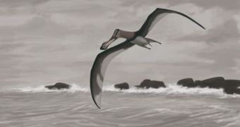 Illustration of a giant pterodactyl gliding on hot air currents above coastal regions