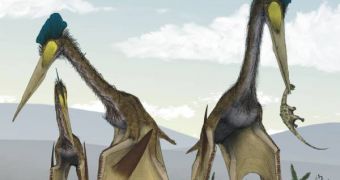 Pterosaurs walking on all fours, eating lizards off the ground. They only flew when they had to