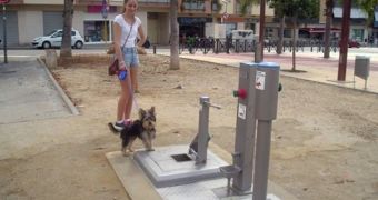 Dogs living in a small town in Spain now have their own public toilet