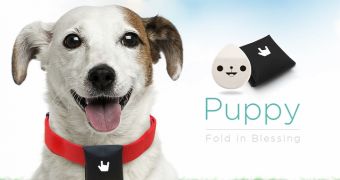 Puppy Bluetooth LE collar