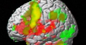 A brain fMRI scan