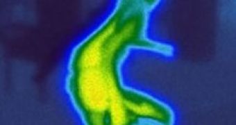 Infrared image of a man