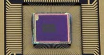 This camera sensor chip contains a layer of quantum dots that absorbs light before it reaches the silicon