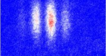 After ultracold atoms are maneuvered into superpositions -- each one located in two places simultaneously -- they are released to allow interference of each atom's two "selves."