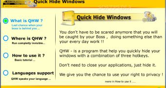 Hide Application Windows with a Key Stroke
