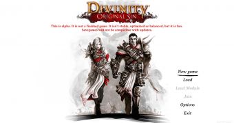 Divinity: Original Sin Backer Alpha