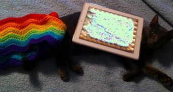 R.I.P.: Real Life Nyan Cat, Designer Inspiration Marty, Dies