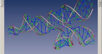 A 3D model of a basic RNA strand