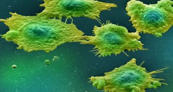 Experiments indicate that radioactive gold nanoparticles could successfully be used to treat prostate cancer