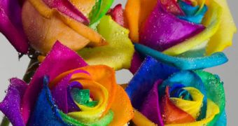 Rainbow or happy roses are becoming increasingly popular, says report