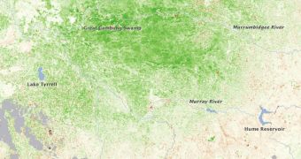 Terra MODIS image showing the greening of the Australian Wheatbelt
