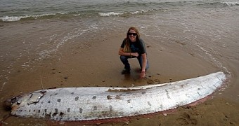 Rare 17-Foot (5-Meter) Oarfish Washes Ashore in California