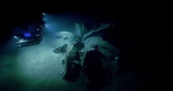 Scientists announce the discovery of two tar lilies at the bottom of the Gulf of Mexico