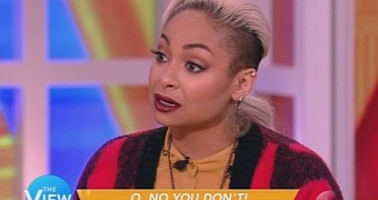 Raven Symone says Michelle Obama does look like an ape, so Rodner Figueroa's comment wasn't racist