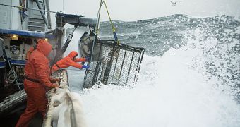 Ready for the Deadliest Catch?