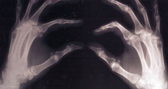 Building bones artificially could soon become possible