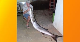 An angler caught a giant barracuda on the Cuanza River in Angola