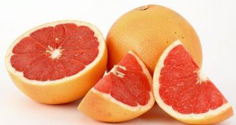 Red Grapefruit Boosts Bone Density
