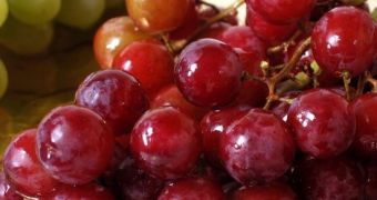 Researchers claim red grapes and blueberries make the immune system more effective