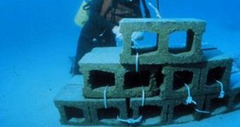 A diver ties concrete blocks together, to promote the formation of a coral reef at that location